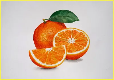 Разрез апельсина - фото и картинки abrakadabra.fun