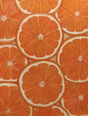 ♥️ апельсин в разрезе, botanical, …» — создано в Шедевруме