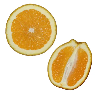 Картина Апельсины в разрезе ᐉ Никитина София ᐉ онлайн-галерея Molbert.