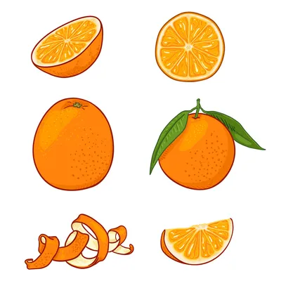 Как нарисовать апельсин поэтапно 8 уроков