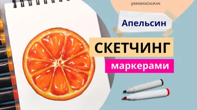 Как правильно сушить апельсины: рецепты и советы — читать на Gastronom.ru
