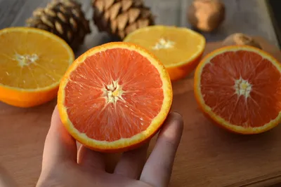 Апельсин в разрезе рисунок акварелью - 59 фото