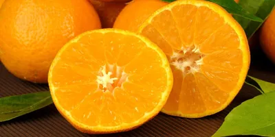 Апельсин \"Сангвинелли\" - комнатное растение купить в СПб - Цитрус Микс 🍋
