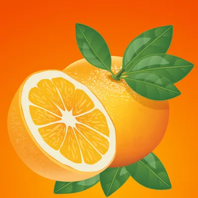 Апельсин \"Сангвинеум Пернамбуко\" - комнатное растение купить в СПб - Цитрус  Микс 🍋