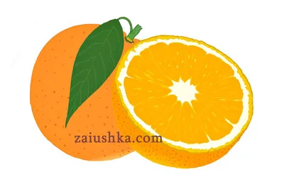 Апельсин с цветком и листьями Стоковое Изображение - изображение  насчитывающей плодоовощ, хворостина: 114343981