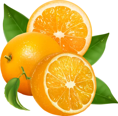 Апельсин: польза апельсинов для организма и вред, калорийность и состав