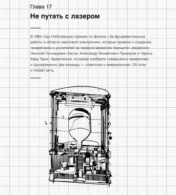 Летучая Мышь Скелет Передние Конечности Гораздо Длиннее Задние Конечности  Имеют Векторное изображение ©Morphart 218157754