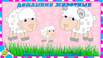 раскраски с барашками для детей