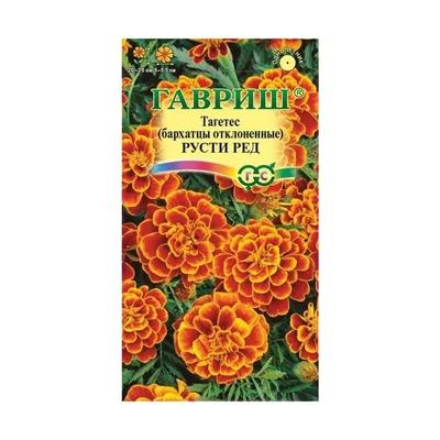 Бархатцы Отклоненный Бой желтые – купить семена в интернет-магазине Лафа с  доставкой по Москве, Московской области и России