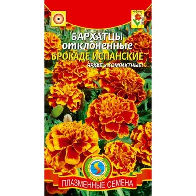 Бархатцы отклоненные (Tagetes patula)