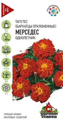 Купить семена цветов Бархатцев Антигуа на дачу почтой | оптом и в розницу