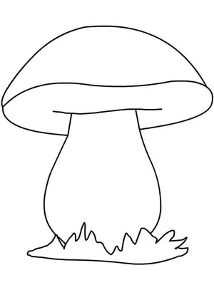 Mushroom Cartoon png download - 3463*4127 - Free Transparent Boletus Edulis  png Download. - CleanPNG / KissPNG