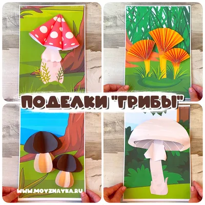 Белый гриб сосновый (Boletus pinophilus) – Грибы Сибири