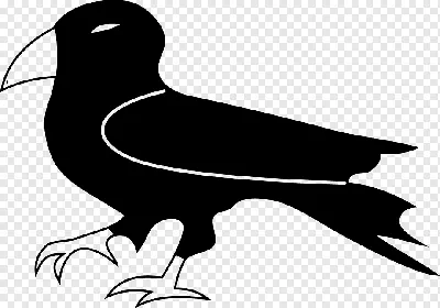 Swallow Bird png download - 1512*1004 - Free Transparent Bird png Download.  - CleanPNG / KissPNG