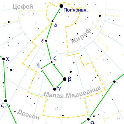 большая медведица — Фото №155976