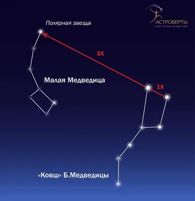 Большая Медведица / Большая медведица над Охотским морем