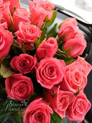 Заказать букет роз для любимой FL-672 купить - хорошая цена на букет роз  для любимой с доставкой - FLORAN.com.ua