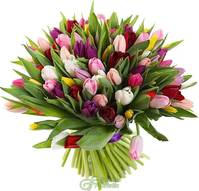 Фрезии с фиолетовыми тюльпанами в букете за 18 090 руб. | Бесплатная  доставка цветов по Москве