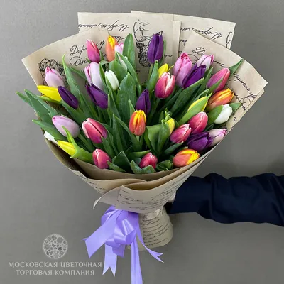 Букет из 49 фиолетовых тюльпанов - Доставкой цветов в Москве! 9997 товаров!  Цены от 487 руб. Цветы Тут