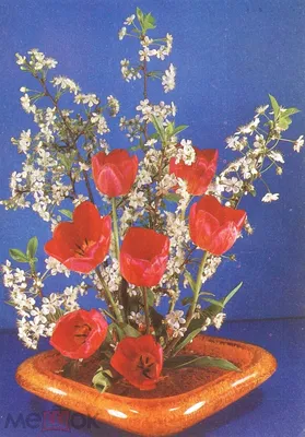 красивый пружинный букет цветов. Поздравляю маму с днём рождения или днём  рождения Стоковое Фото - изображение насчитывающей она, флорист: 237228132