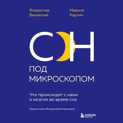 Это не дурной сон, это происходит с Россией наяву». На Бориса Акунина  завели дело об «оправдании терроризма»