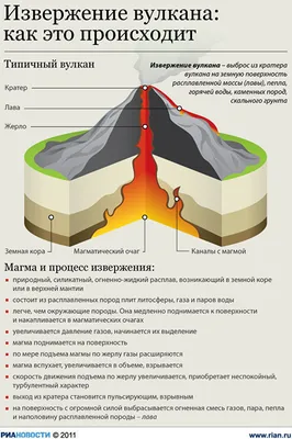 Пубертатный период: Что происходит в организме : Лусицина, Надежда:  Amazon.fr: Livres