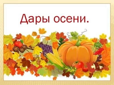 Выставка \"Дары осени\" — Муниципальное автономное дошкольное образовательное  учреждение «Детский сад № 8 «Сказка»