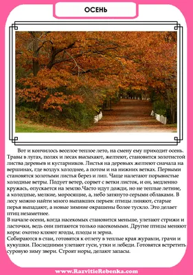 Все о побелке деревьев осенью : от выбора состава до инструмента – блог  интернет-магазина Порядок.ру