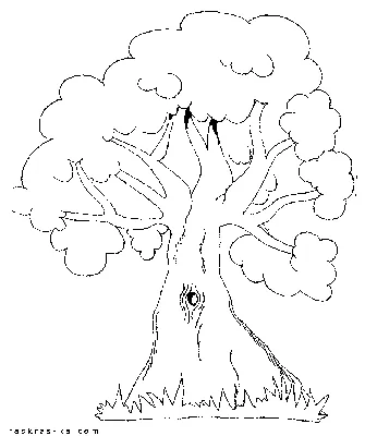 Маленькое дерево — раскраска для детей. Распечатать бесплатно.