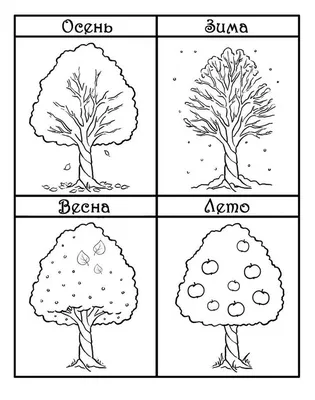 Молодое дерево — раскраска для детей. Распечатать бесплатно.