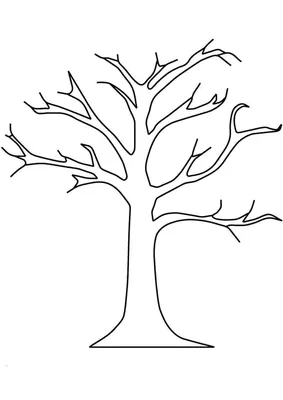 Разветвляемся: рисуем дерево за 8 простых шагов.