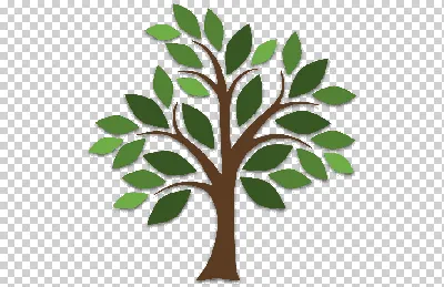 Гигантское хлопковое дерево в банджаре Баян (Bayan Ancient Tree) - Балифорум