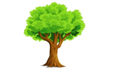 Дерево без вектора листьев иллюстрация вектора. иллюстрации насчитывающей  силуэт - 80790246