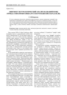 В Москве заметили ястреба-перепелятника и воробьиного сычика - обе птицы  краснокнижные - KP.RU