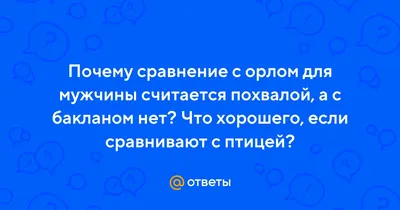 Жил на стройке и голодал: в Перми целым микрорайоном спасали замерзающего  ворона - KP.RU