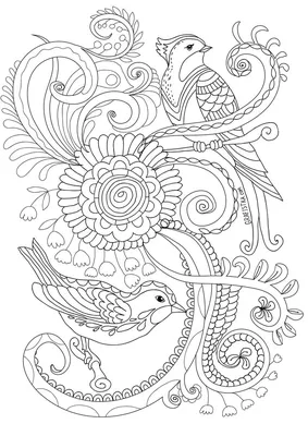 Скачать Раскраску антистресс две птицы в саду, 037 | Mandala coloring  pages, Coloring pages, Bird coloring pages