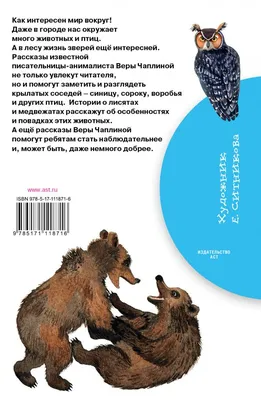 Составление рассказа по картине «Дети кормят птиц в парке». НОД в старшей  группе (11 фото). Воспитателям детских садов, школьным учителям и педагогам  - Маам.ру