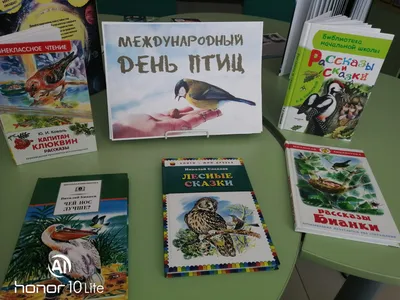 Рассказы про зверей и птиц. Евгений Чарушин - «Рассказы, которые интересны  и в 2 года, и в 28, и в 60 лет)» | отзывы