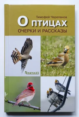 Рассказы о природе Михаил Пришвин - купить книгу Рассказы о природе в  Минске — Издательство АСТ на OZ.by