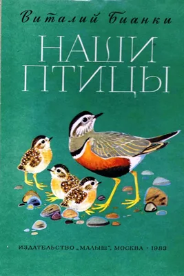 Рассказы про птиц и зверей, , АСТ купить книгу 978-5-17-111871-6 – Лавка  Бабуин, Киев, Украина