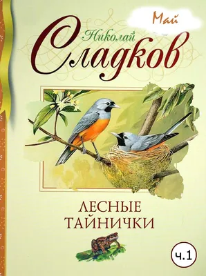 Кто строит дупла в деревьях? Рассказ в картинках (Валери Сурико) / Проза.ру