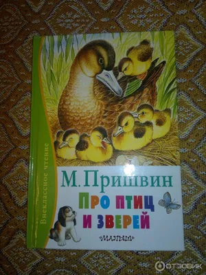 Рассказ о птице, которая не летает. | Родительница-мучительница | Дзен