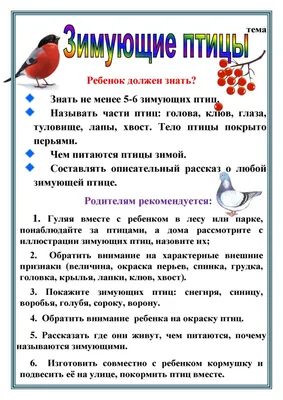 Конспект НОД по развитию речи в подготовительной коррекционной группе  составления рассказа по картинкам «Друзья птиц» (13 фото). Воспитателям  детских садов, школьным учителям и педагогам - Маам.ру