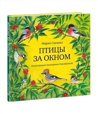 Купить книгу «Удивительный мир птиц: Легко ли быть птицей?», Тим Беркхед |  Издательство «КоЛибри», ISBN: 978-5-389-14353-1