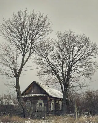 Уютный дом. Дизайн интерьера - Уютный домик - деревня Гитхорн, Голландия |  Facebook