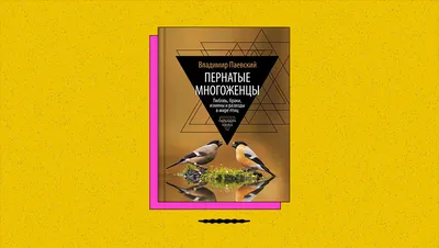 Перелёты птиц. Большая российская энциклопедия