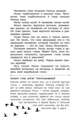 Журавли улетают — к непогоде? Эстонский природовед рассказывает о птицах,  которые часто связываются с народными приметами - Delfi RUS