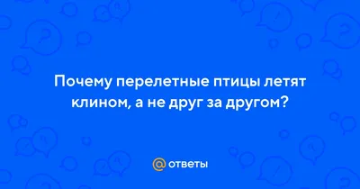 Лепка в технике барельефа «Зимующие птицы» (2 фото). Воспитателям детских  садов, школьным учителям и педагогам - Маам.ру