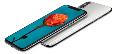 Набор для замены дисплея в iPhone X черный c инструментом