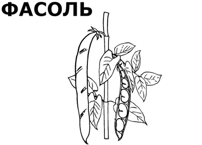 Фасоль в домашних детей, как есть очень Стоковое Фото - изображение  насчитывающей дом, съешьте: 176324546